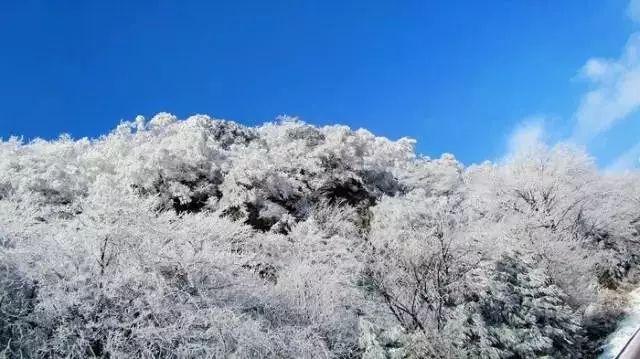 异度之刃2