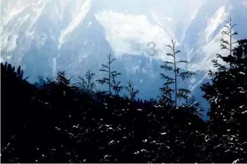 绘真·妙笔千山