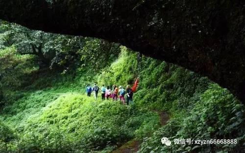 天籁改梦幻火山灰,看一眼就心动的梦幻色