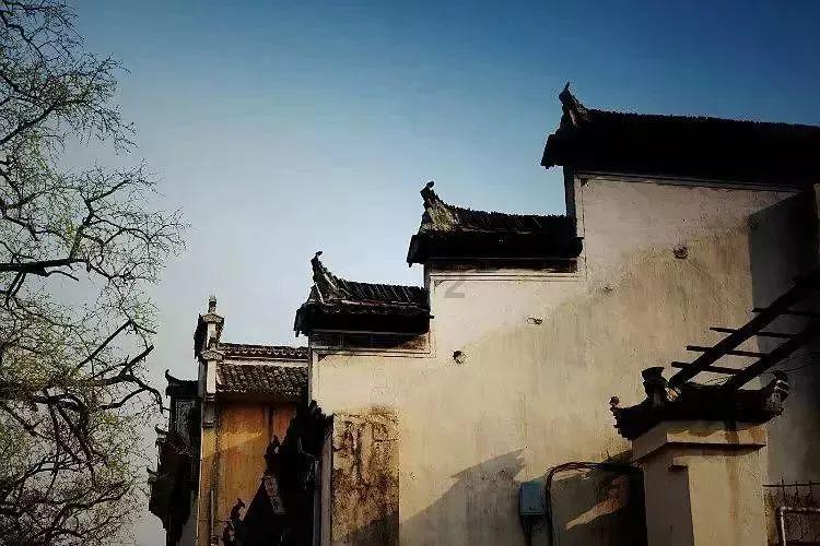 男方父母不同意的婚姻要不要继续？游戏画面